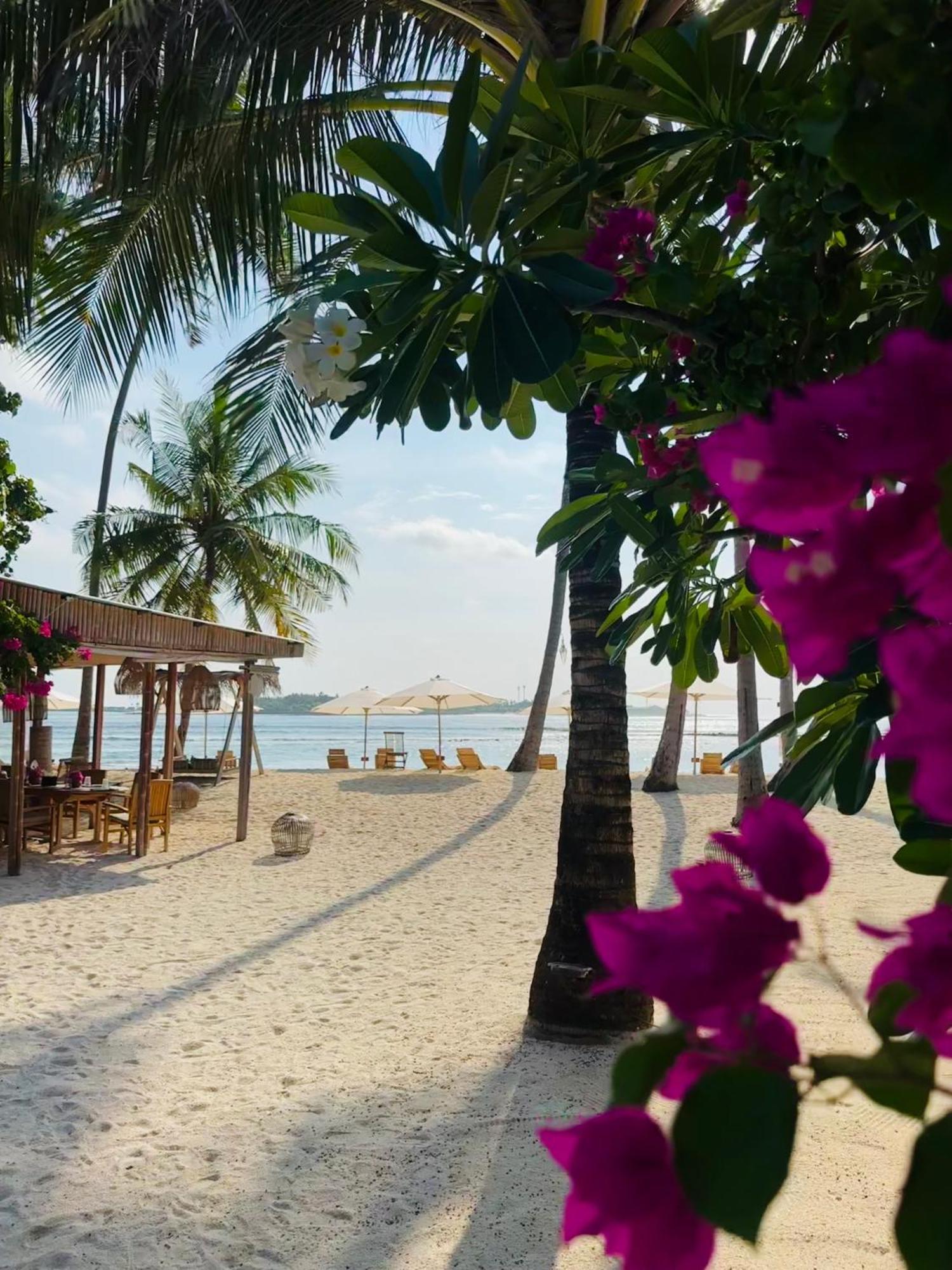 Hotel Met House Thulusdhoo Exterior foto