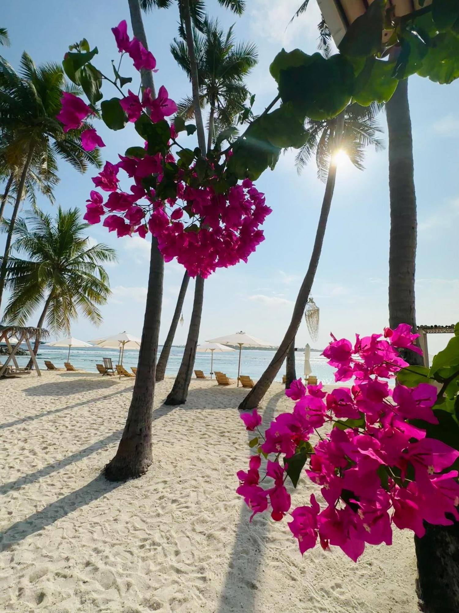 Hotel Met House Thulusdhoo Exterior foto