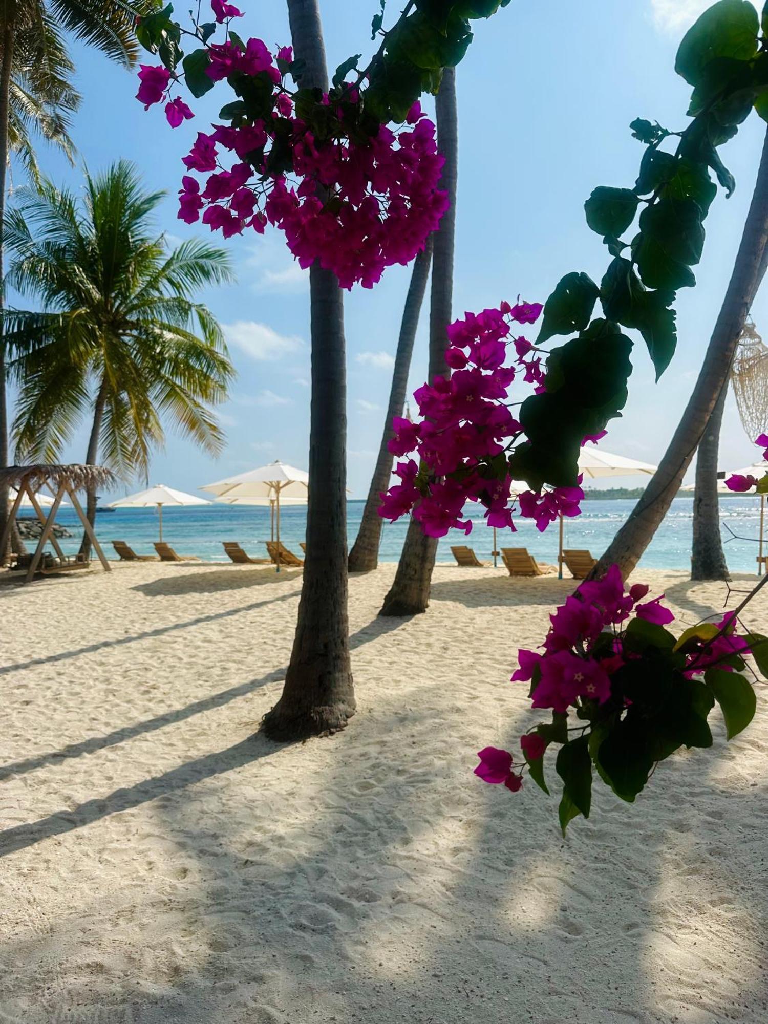 Hotel Met House Thulusdhoo Exterior foto